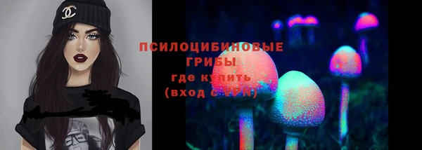 PSILOCYBIN Беломорск
