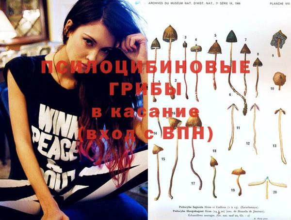 PSILOCYBIN Белокуриха