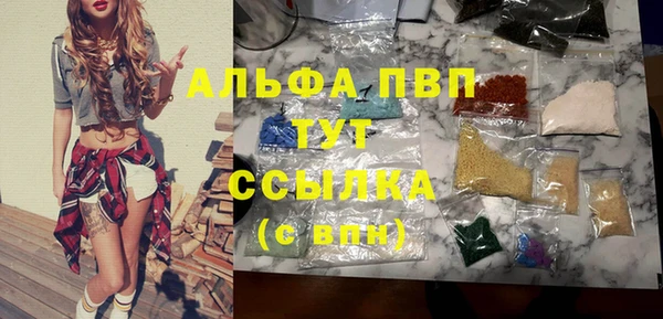 PSILOCYBIN Беломорск