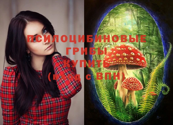 PSILOCYBIN Белокуриха