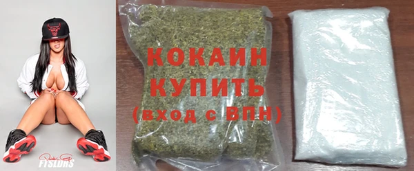 PSILOCYBIN Беломорск